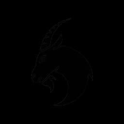 Capricorn